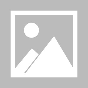 【转载】STM32F103C8T6在Arduino IDE里编程